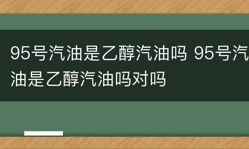95号汽油是乙醇汽油吗 95号汽油是乙醇汽油吗对吗