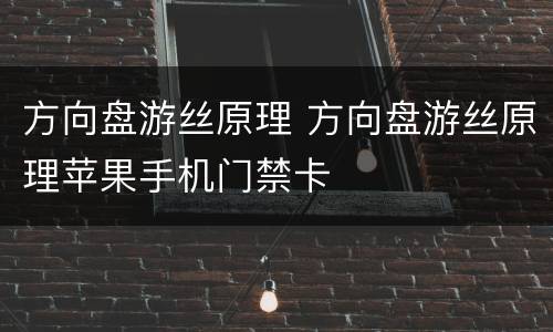 方向盘游丝原理 方向盘游丝原理苹果手机门禁卡