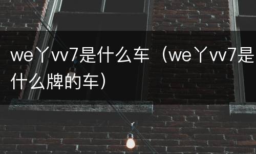 we丫vv7是什么车（we丫vv7是什么牌的车）