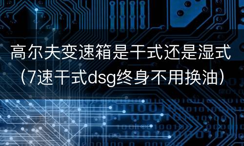 高尔夫变速箱是干式还是湿式（7速干式dsg终身不用换油）