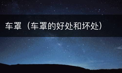 车罩（车罩的好处和坏处）