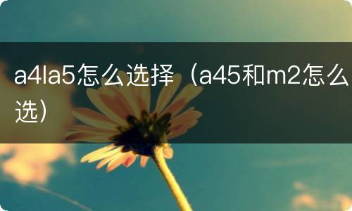 a4la5怎么选择（a45和m2怎么选）