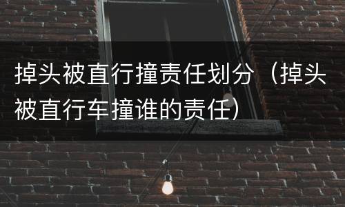 掉头被直行撞责任划分（掉头被直行车撞谁的责任）