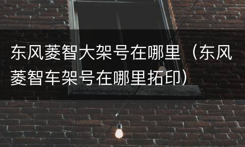 东风菱智大架号在哪里（东风菱智车架号在哪里拓印）