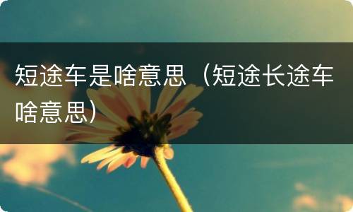 短途车是啥意思（短途长途车啥意思）
