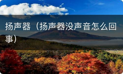 扬声器（扬声器没声音怎么回事）