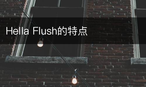 Hella Flush的特点