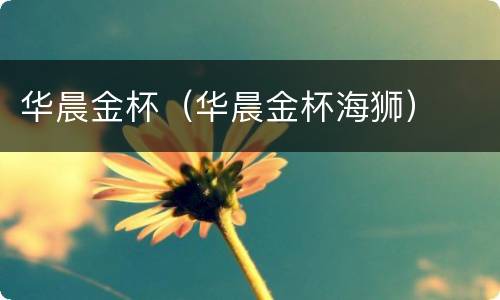 华晨金杯（华晨金杯海狮）