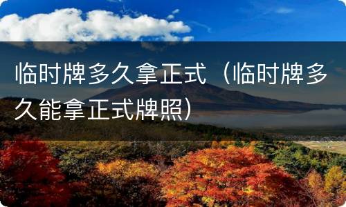 临时牌多久拿正式（临时牌多久能拿正式牌照）