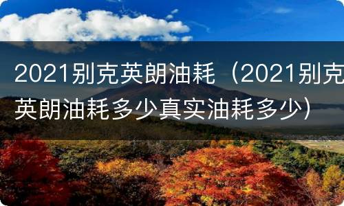 2021别克英朗油耗（2021别克英朗油耗多少真实油耗多少）
