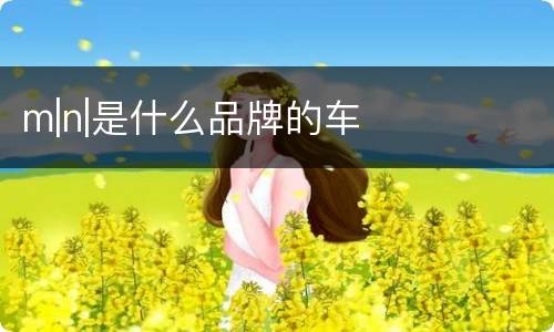 m|n|是什么品牌的车