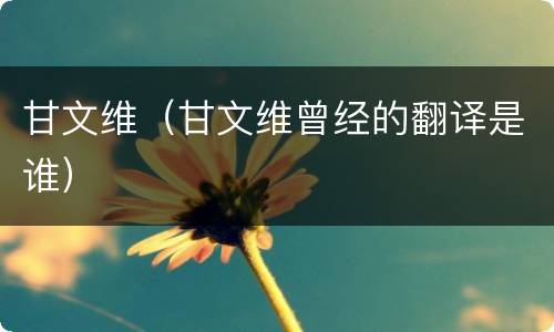 甘文维（甘文维曾经的翻译是谁）