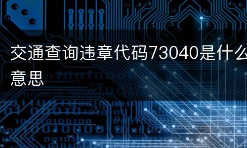 交通查询违章代码73040是什么意思