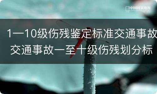 1—10级伤残鉴定标准交通事故 交通事故一至十级伤残划分标准