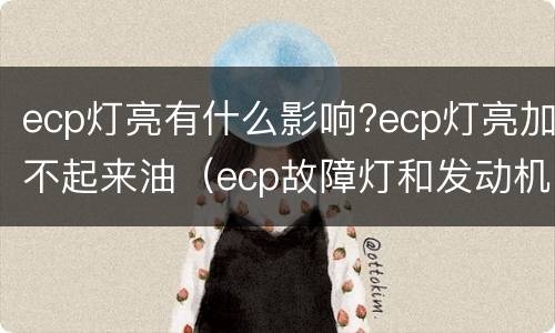 ecp灯亮有什么影响?ecp灯亮加不起来油（ecp故障灯和发动机故障灯都亮）