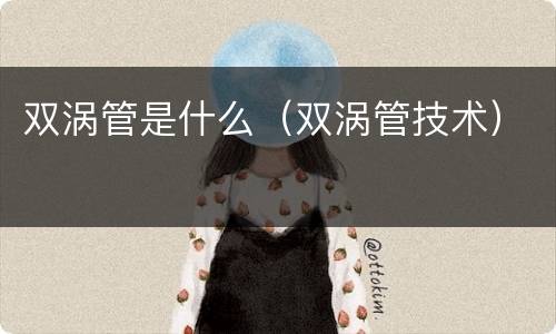 双涡管是什么（双涡管技术）