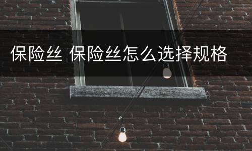 保险丝 保险丝怎么选择规格