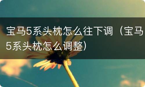 宝马5系头枕怎么往下调（宝马5系头枕怎么调整）