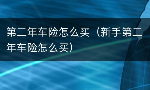 第二年车险怎么买（新手第二年车险怎么买）