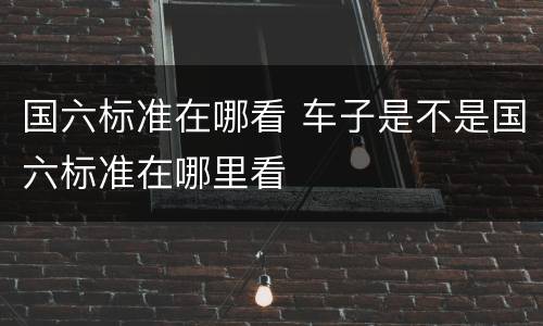 国六标准在哪看 车子是不是国六标准在哪里看