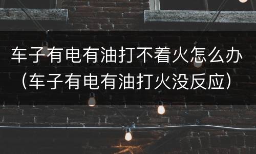 车子有电有油打不着火怎么办（车子有电有油打火没反应）