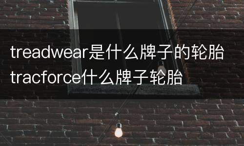 treadwear是什么牌子的轮胎 tracforce什么牌子轮胎