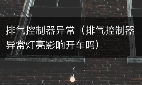 排气控制器异常（排气控制器异常灯亮影响开车吗）