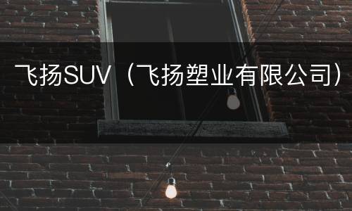 飞扬SUV（飞扬塑业有限公司）