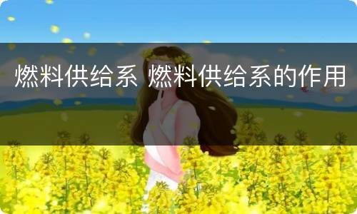 燃料供给系 燃料供给系的作用