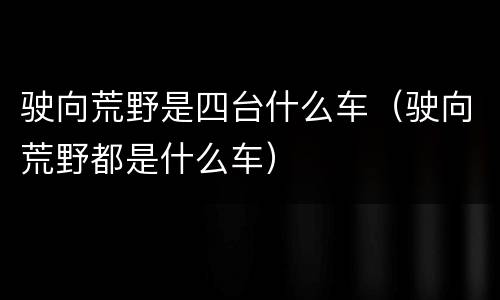 驶向荒野是四台什么车（驶向荒野都是什么车）