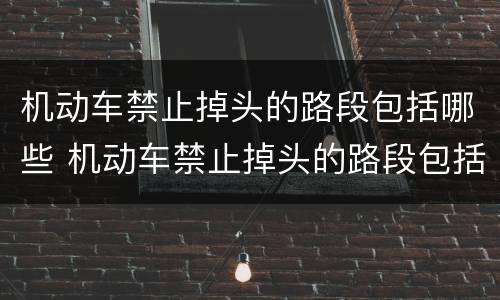 机动车禁止掉头的路段包括哪些 机动车禁止掉头的路段包括哪些地方