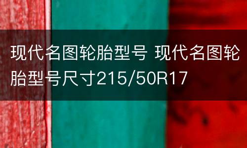现代名图轮胎型号 现代名图轮胎型号尺寸215/50R17
