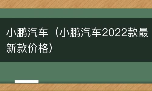 小鹏汽车（小鹏汽车2022款最新款价格）