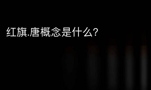 红旗.唐概念是什么？