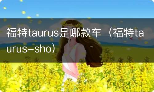 福特taurus是哪款车（福特taurus-sho）