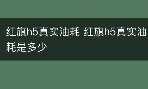红旗h5真实油耗 红旗h5真实油耗是多少
