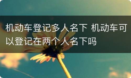 机动车登记多人名下 机动车可以登记在两个人名下吗