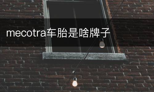 mecotra车胎是啥牌子