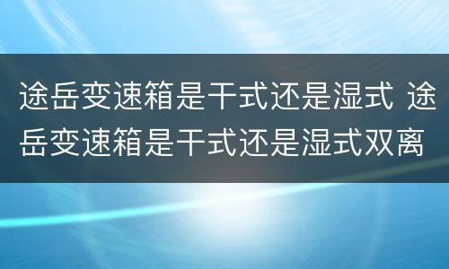 途岳变速箱是干式还是湿式 途岳变速箱是干式还是湿式双离合