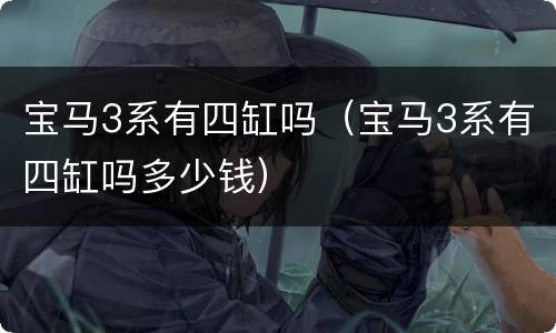 宝马3系有四缸吗（宝马3系有四缸吗多少钱）