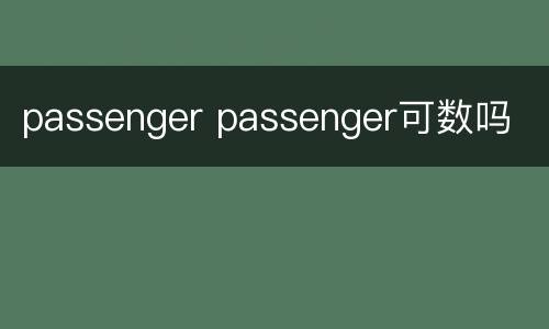 passenger passenger可数吗