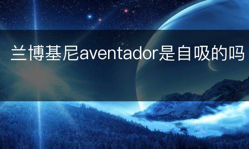 兰博基尼aventador是自吸的吗