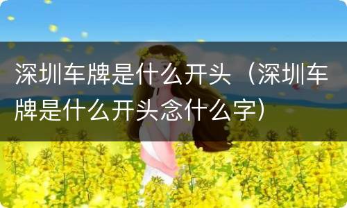 深圳车牌是什么开头（深圳车牌是什么开头念什么字）