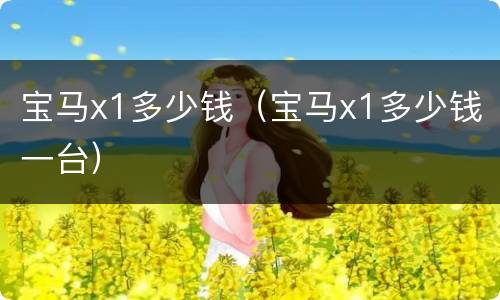 宝马x1多少钱（宝马x1多少钱一台）