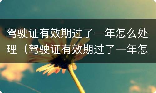 驾驶证有效期过了一年怎么处理（驾驶证有效期过了一年怎么办）