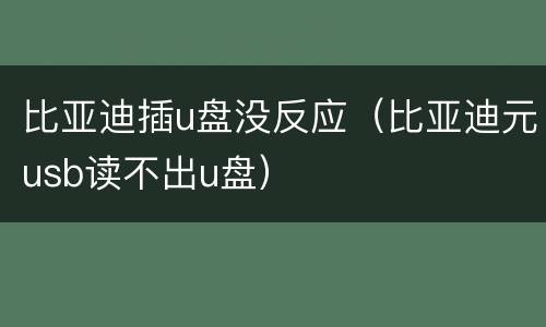 比亚迪插u盘没反应（比亚迪元usb读不出u盘）