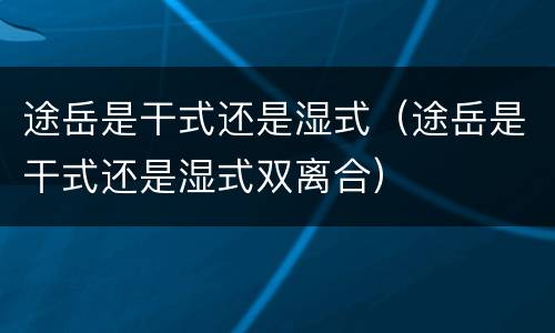 途岳是干式还是湿式（途岳是干式还是湿式双离合）
