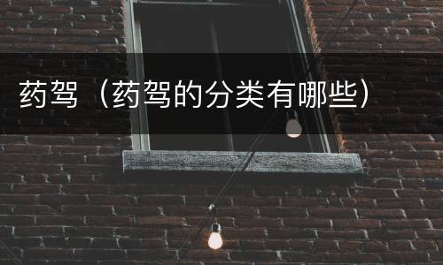 药驾（药驾的分类有哪些）