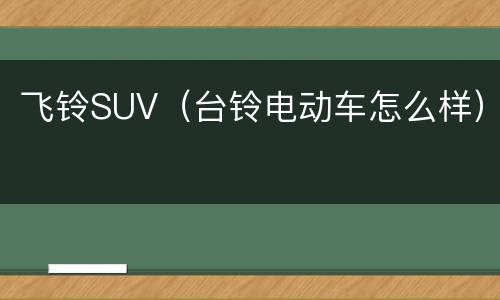 飞铃SUV（台铃电动车怎么样）
