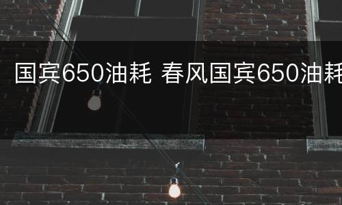 国宾650油耗 春风国宾650油耗